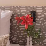 Hotel Hotel Central Staytion 3*